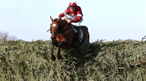 free bet grand national ladbrokes|Grand National 2024: Everything You Need to Know .